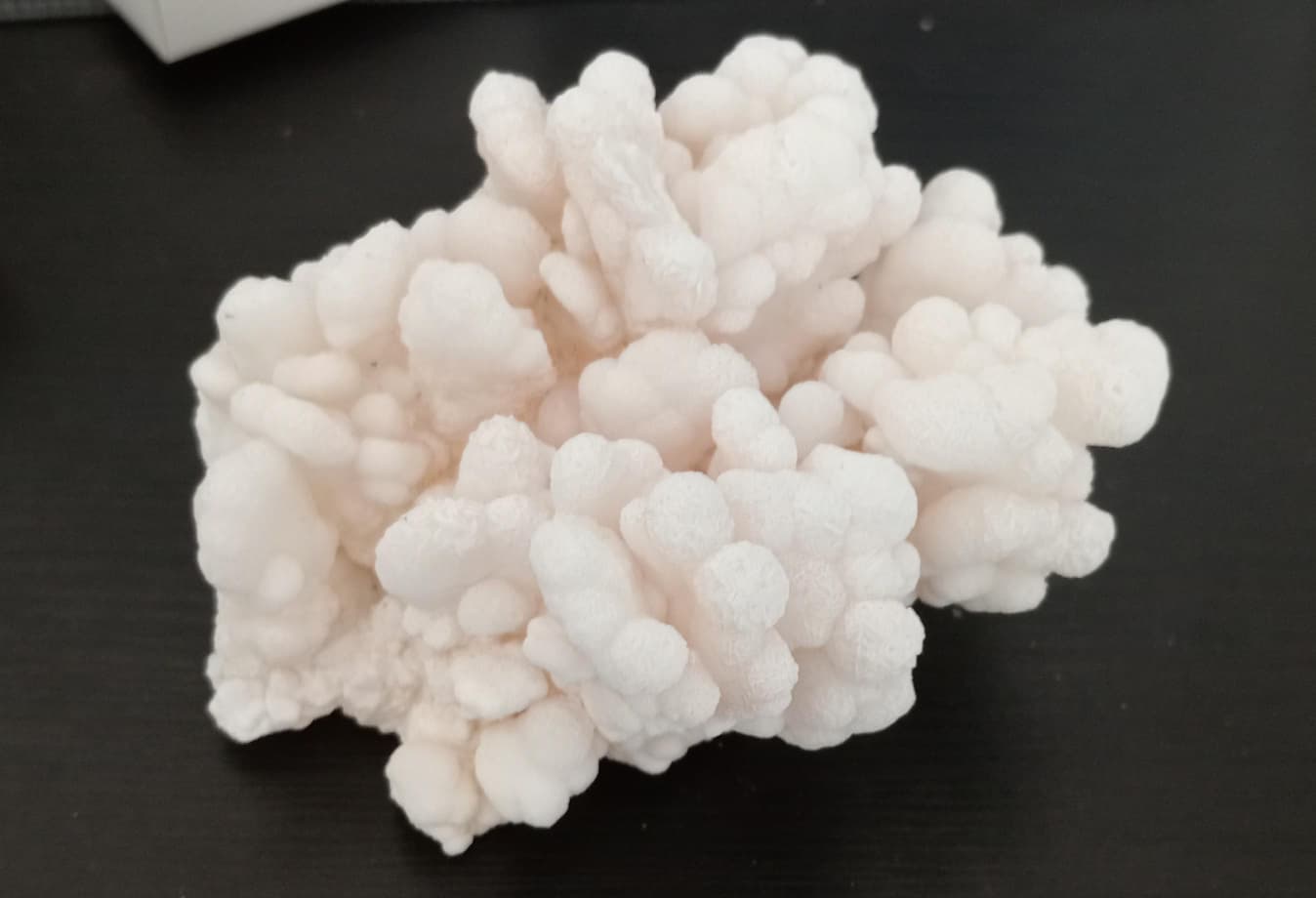 aragonite coralóide